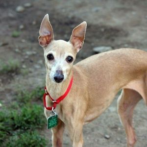 Meet your Posher, Cathy